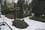 bild1