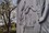 bild6