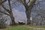 bild1